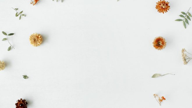 Making the Leap to Full-Time Photography